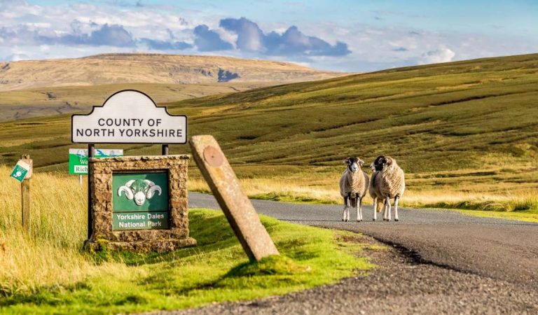 Guisborough - Newcastle & Overtocht Newcastle - IJmuiden 