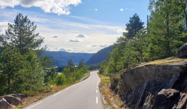 Slingerweg door heuvelachtig landschap met bossen en uitzicht over een vallei