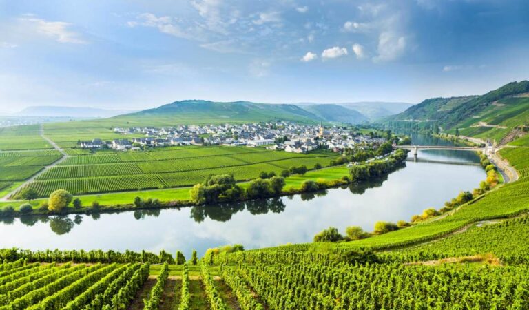 Wijngaarden langs rivier met dorp in de vallei