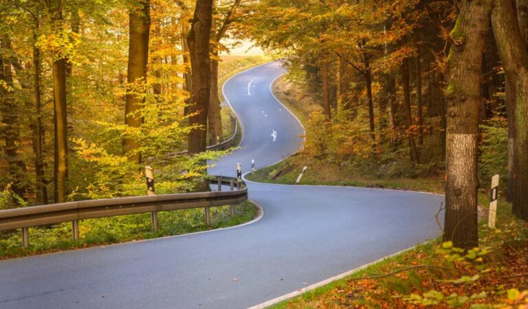 Bochtige weg door bos in herfstkleuren
