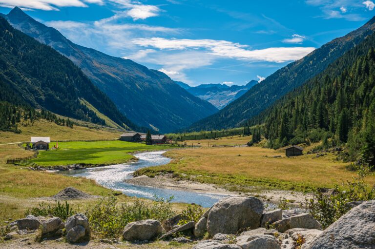 Groene alpenweide met beek, berghutten en beboste berghellingen