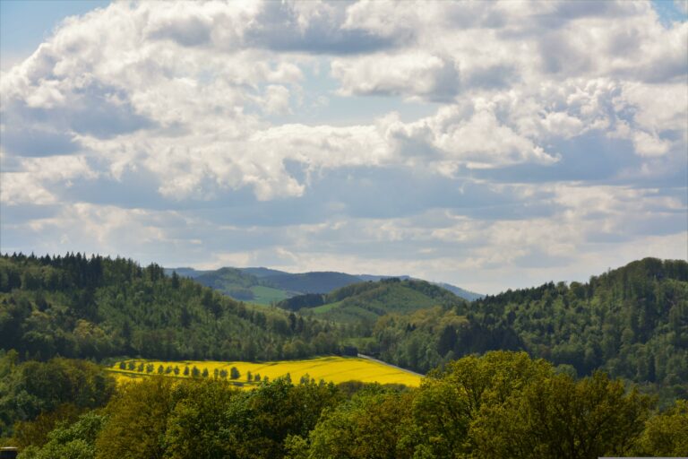 Uitzicht over heuvels, velden en bossen onder lichte bewolking