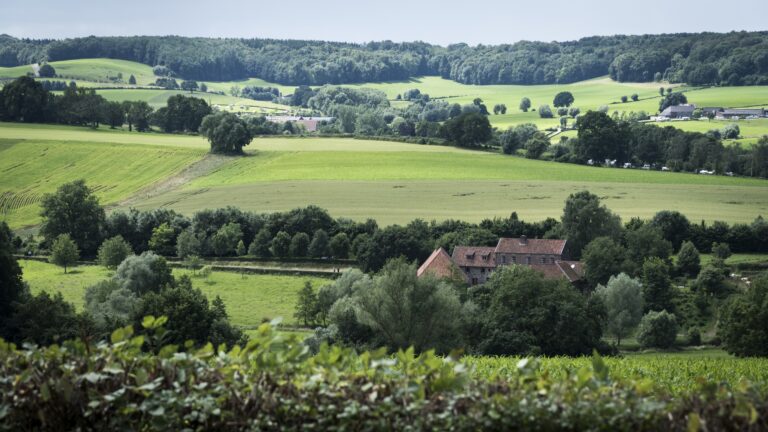 glooiend landschap met velden, bomen en boerderij