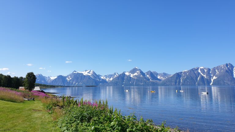 Uitzicht over de Lofoten met bergen en water op een zonnige dag